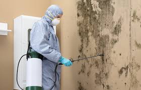 Best Mold Odor Removal Services  in Camn, DE